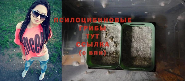ПСИЛОЦИБИНОВЫЕ ГРИБЫ Навашино