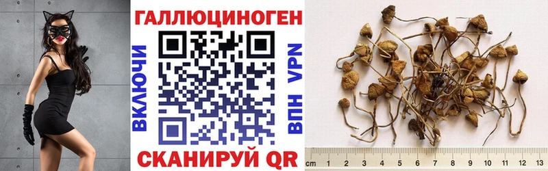 Купить  Северо-Курильск  Галлюциногенные грибы ЛСД 